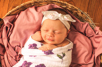 Haddie Crotty Newborn