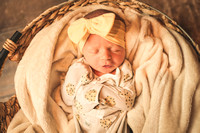 Kinley Novotny Newborn