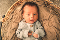 Noah Barnard Newborn