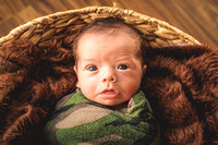 Brooks Barnard Newborn