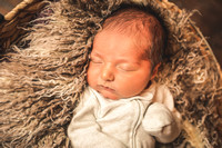 Weylan Gronewold Newborn