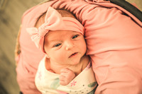 Cora Bruss Newborn