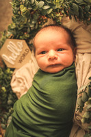 Dawson Wolken Newborn