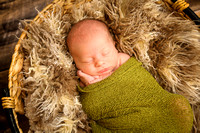 Knox VanLaningham Newborn